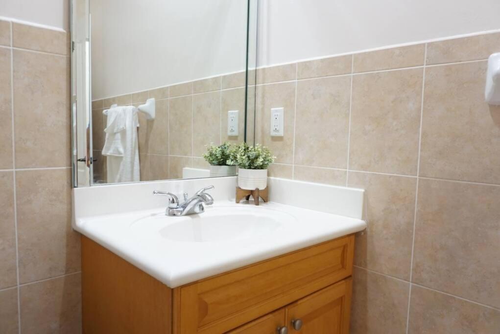 New Luxury Vacation Dream Rental- Sleeps 15! Μαϊάμι Εξωτερικό φωτογραφία